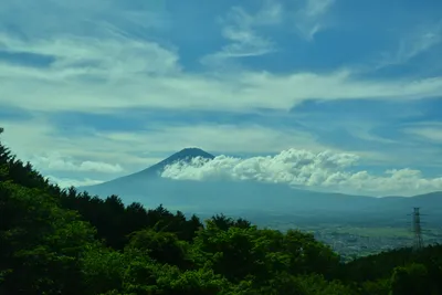 DSC_3666 (Large).JPG